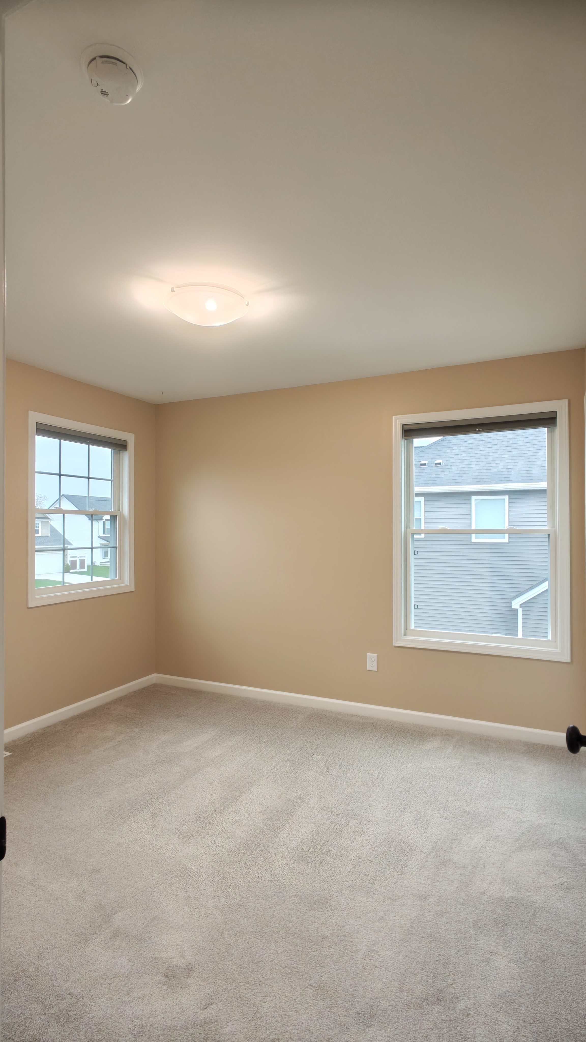 Full house interior painting in progress — photo 39 of 41