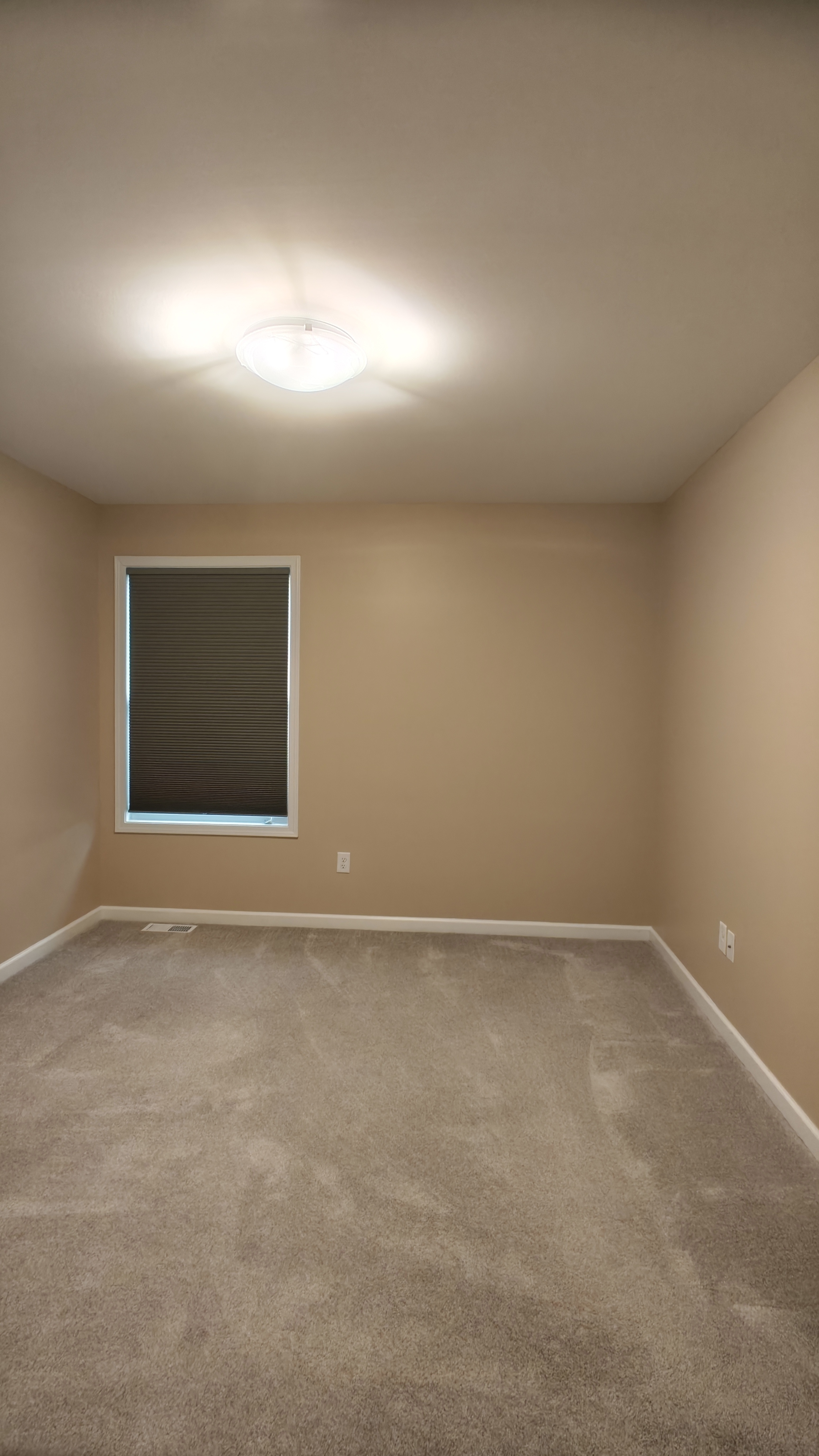 Full house interior painting in progress — photo 40 of 41