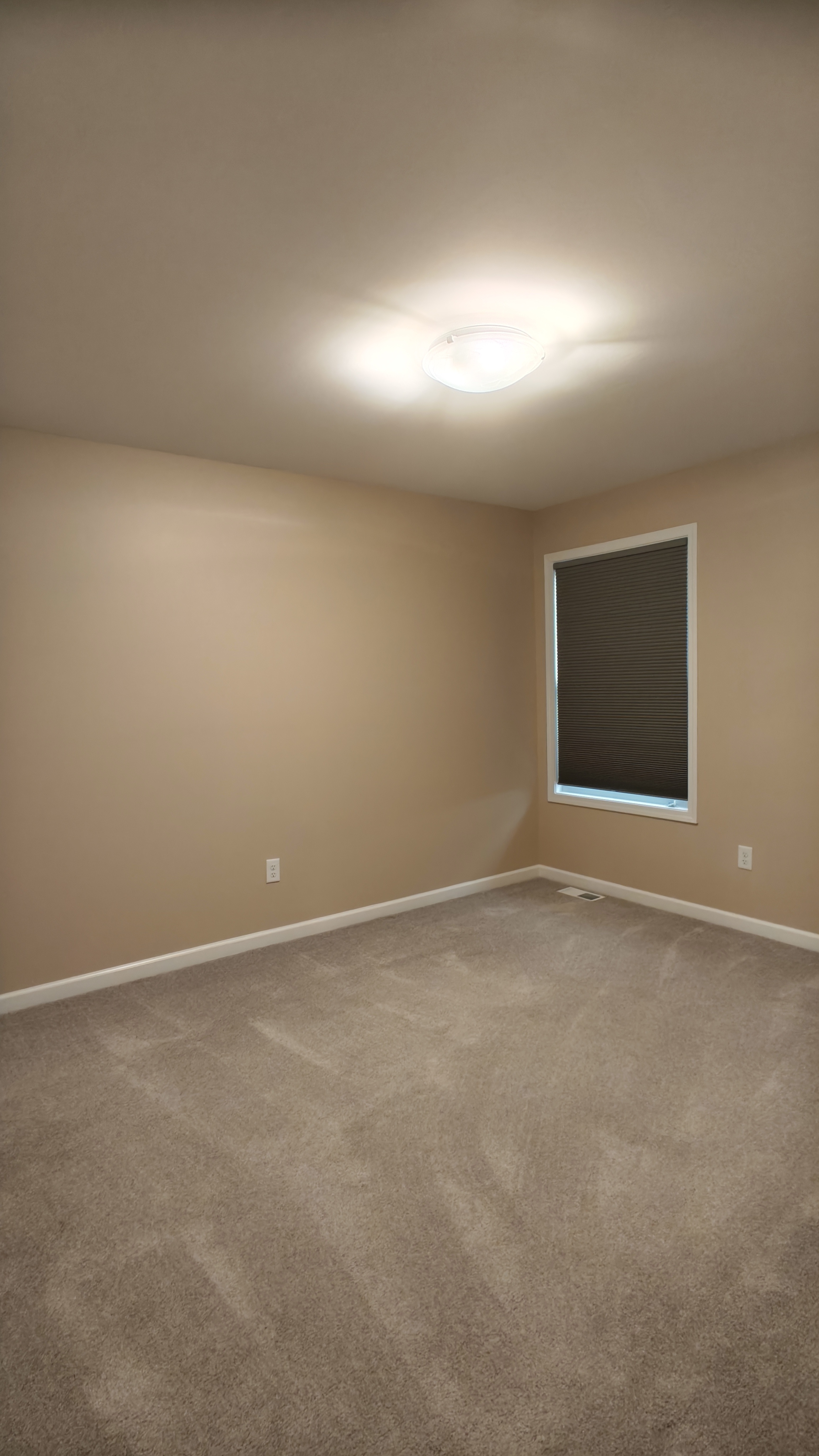 Full house interior painting completed — photo 41 of 41