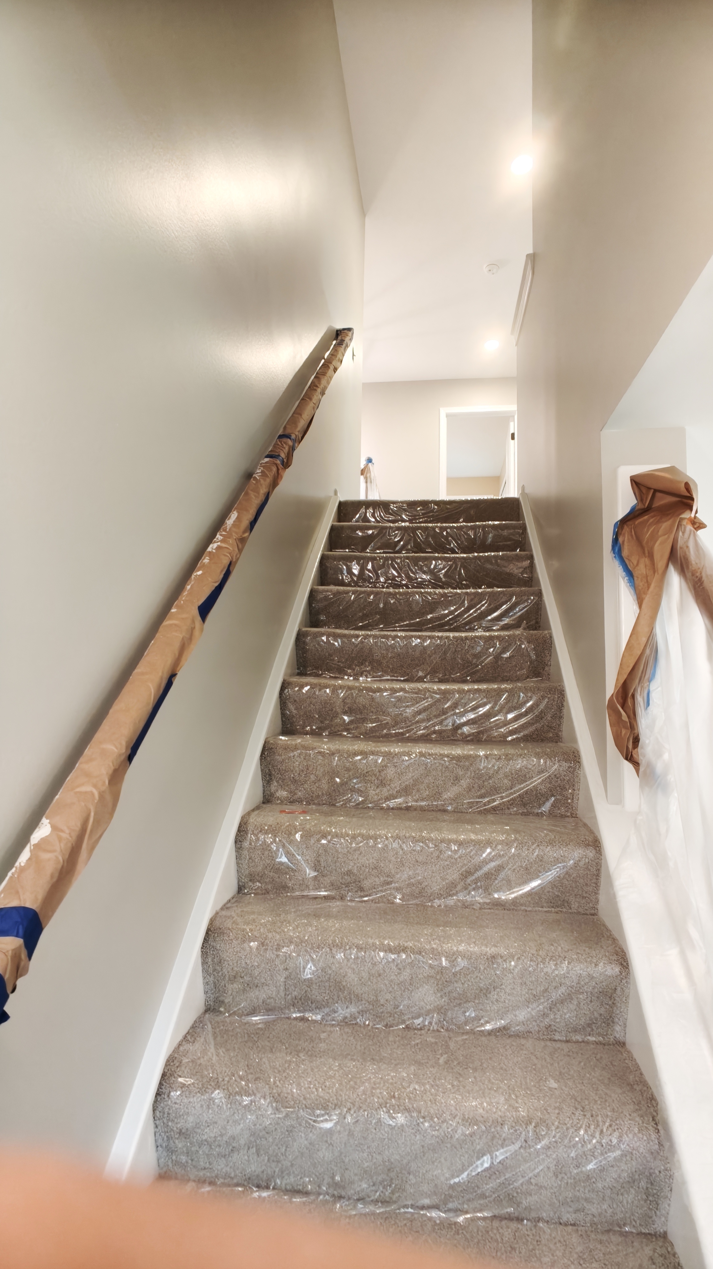 Full house interior painting in progress — photo 5 of 41