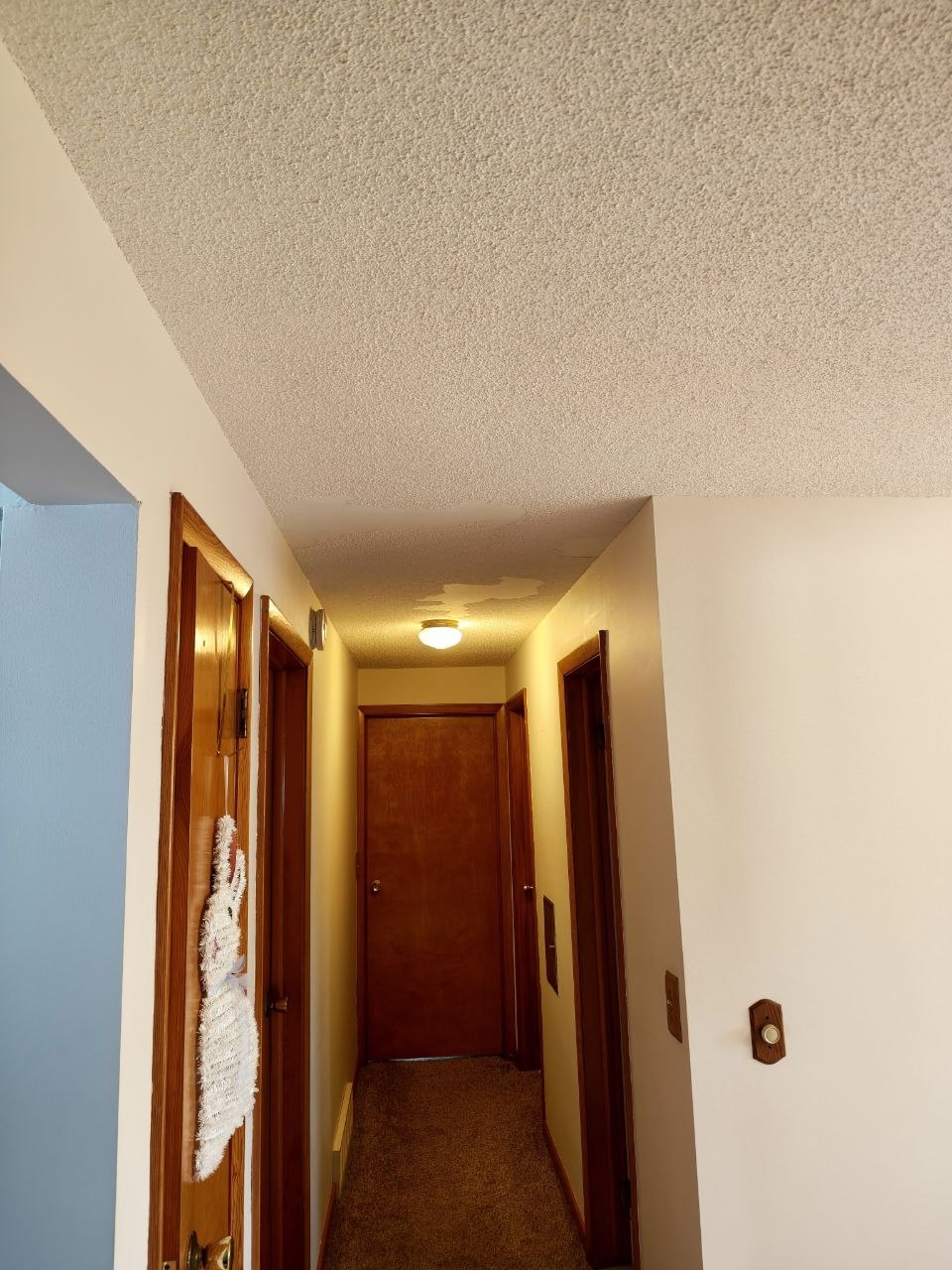 Popcorn ceiling removal — photo 1 of 19